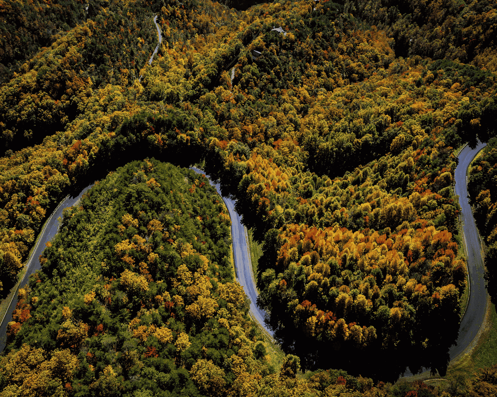 Pigeon Forge - Gatlinburg Tours