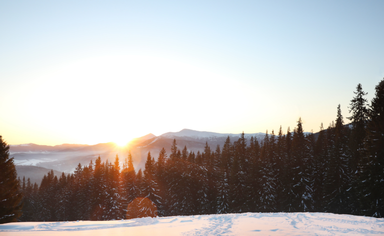 Scenic-Winterfest-Header-Images-copy