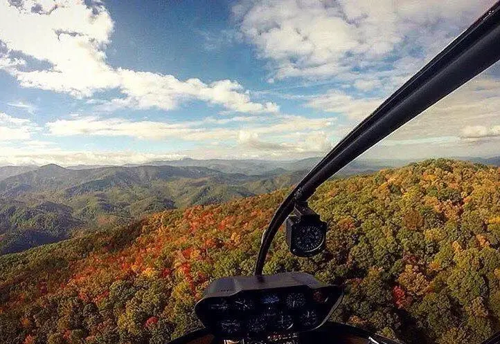 Fall Leaves from cockpit